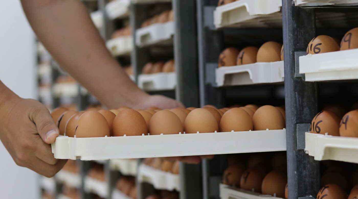 Picking ve Packing Yazılımı