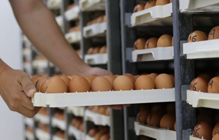 Picking ve Packing Yazılımı
